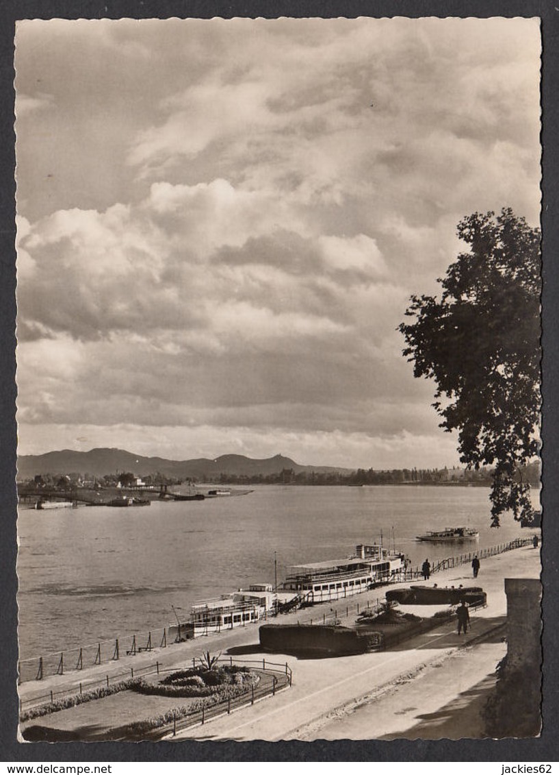 62812/ BONN, Am Alten Zoll Mit Blick Zum Siebengebirge - Bonn