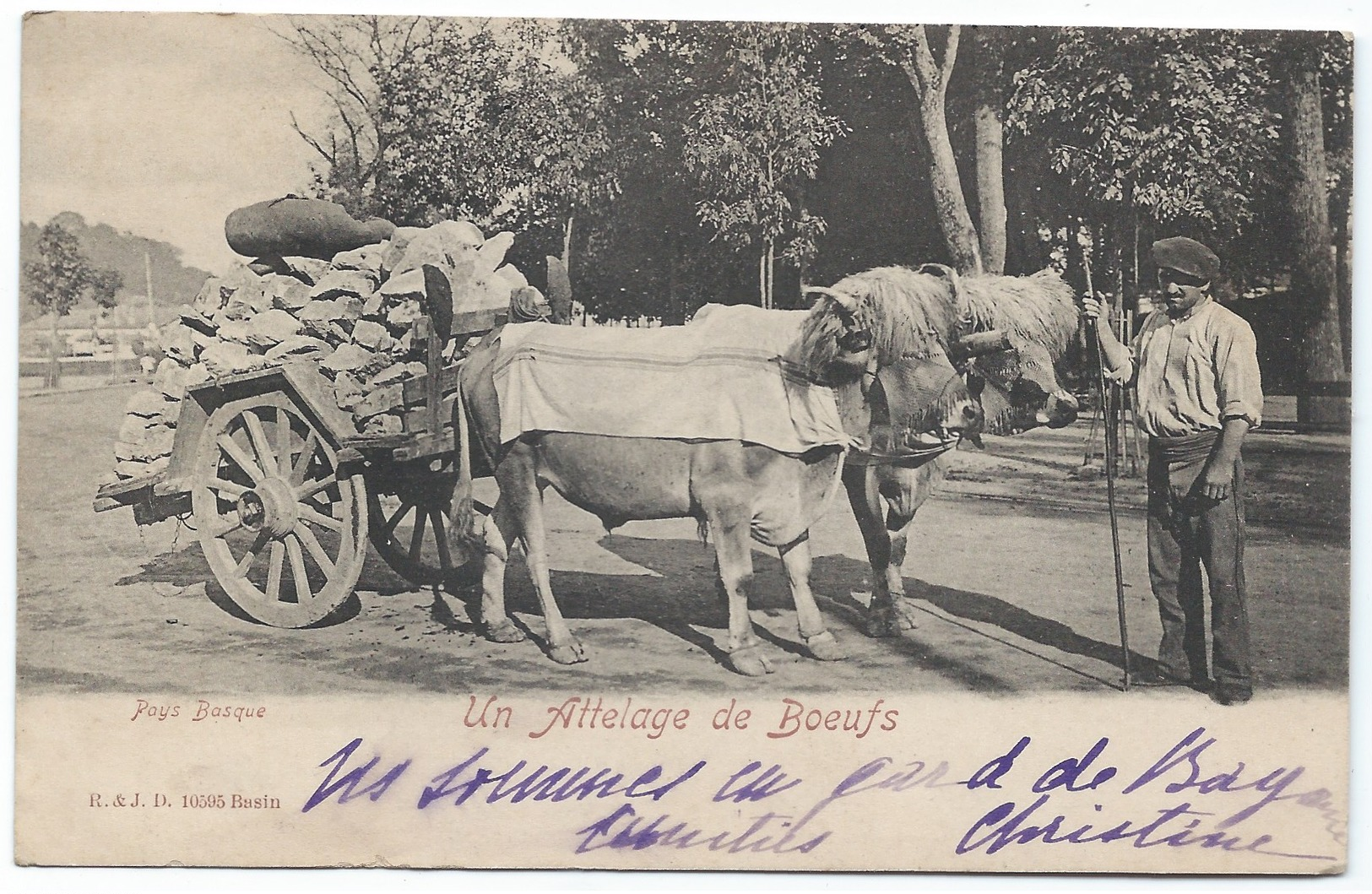 64 -Pays Basque- Un Attelage De Boeufs (bien Chargé De Pierres)- Tampons Postaux 1903 - Urrugne