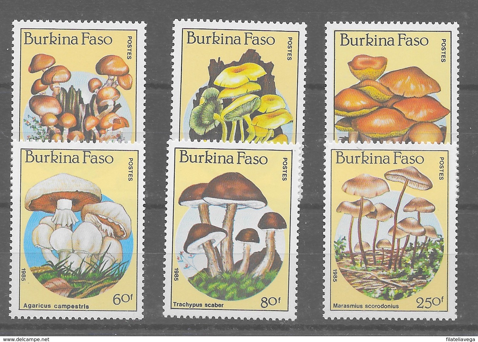 Serie De Burkina Faso Nº Yvert 676/81 ** - Hongos