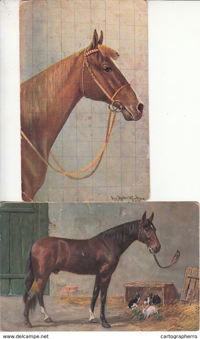 D1441 Lot 2 Old Postcards Artist Signed Horses Chevals - Chevaux