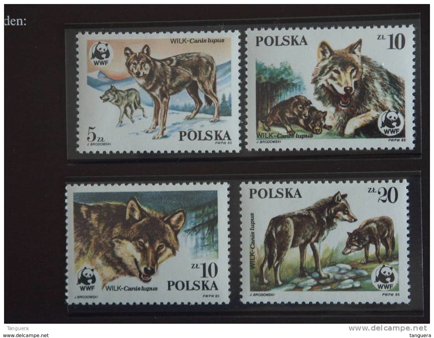Polen Pologne Poland Polska  WWF Wolf Loup Yv 2787-2790 MNH ** - Unused Stamps
