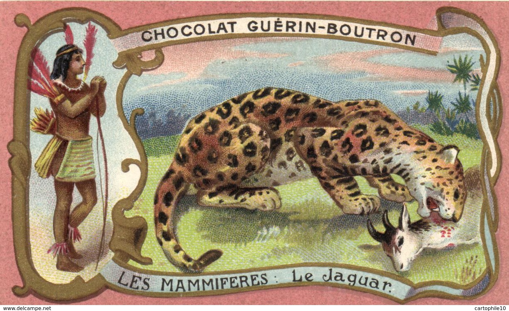 CHOCOLAT GUERINE BOUTRON.    Série Les Mammifères   :   Le Jaguar - Guérin-Boutron