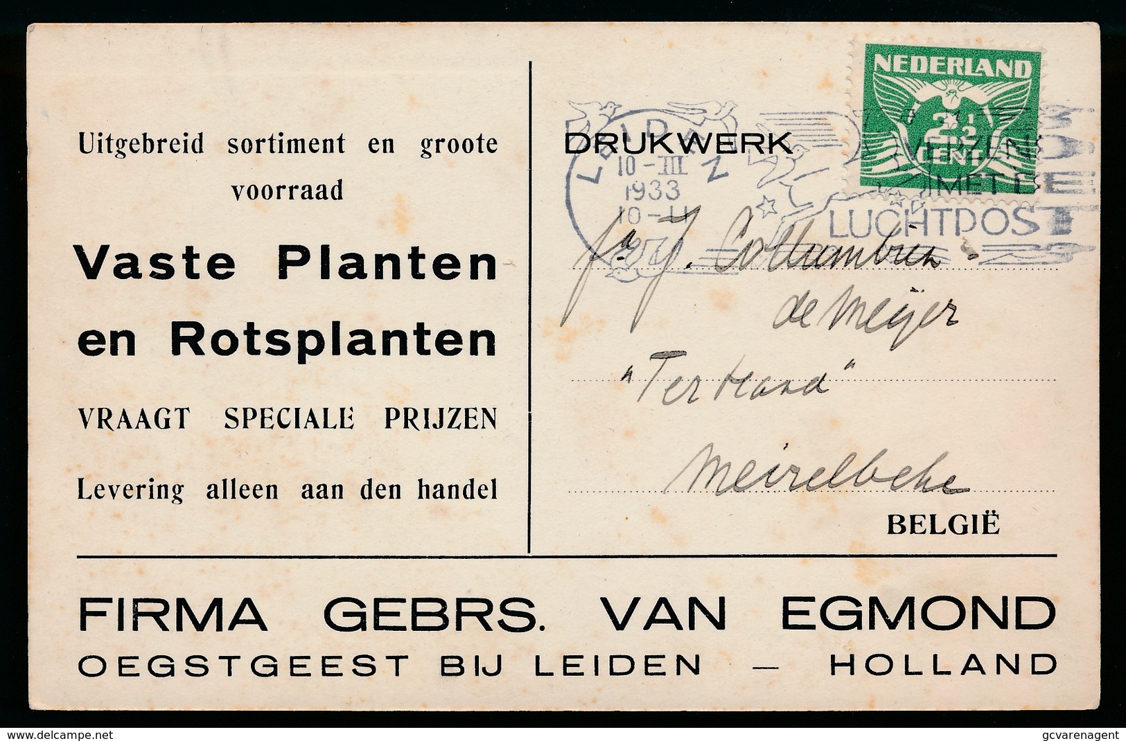 OEGSTGEEST BIJ LEIDEN - FIRMAN GEBRS.VAN EGMOND - VASTE PLANTEN EN ROSTPLANTEN -2 AFBEELDINGEN - Autres & Non Classés