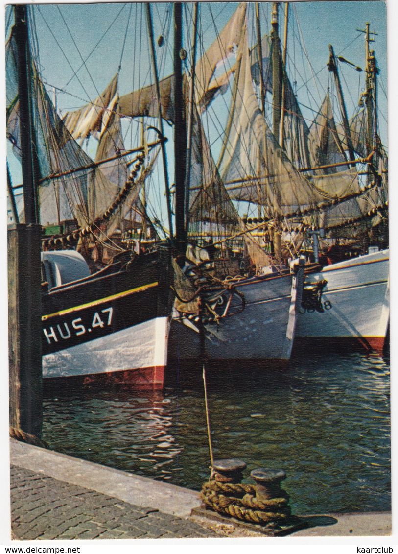 Krabbenfischer-Boote In  Husum - (1964) - Husum