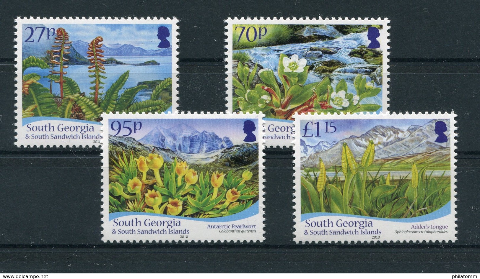 Südgeorgien - Mi.Nr. 515 / 518 - "Einheimische Flora" ** / MNH (aus Dem Jahr 2010) - Südgeorgien