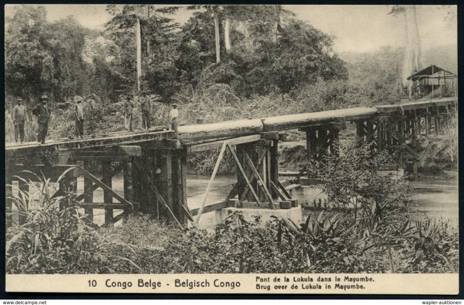 BELGISCH KONGO 1914 (5.5.) 5 C. BiP Palme, Grün: Pont De La Lukula Am Mayumbe-Fluß (provisorische Straßen-Brücke) Ungebr - Ponts