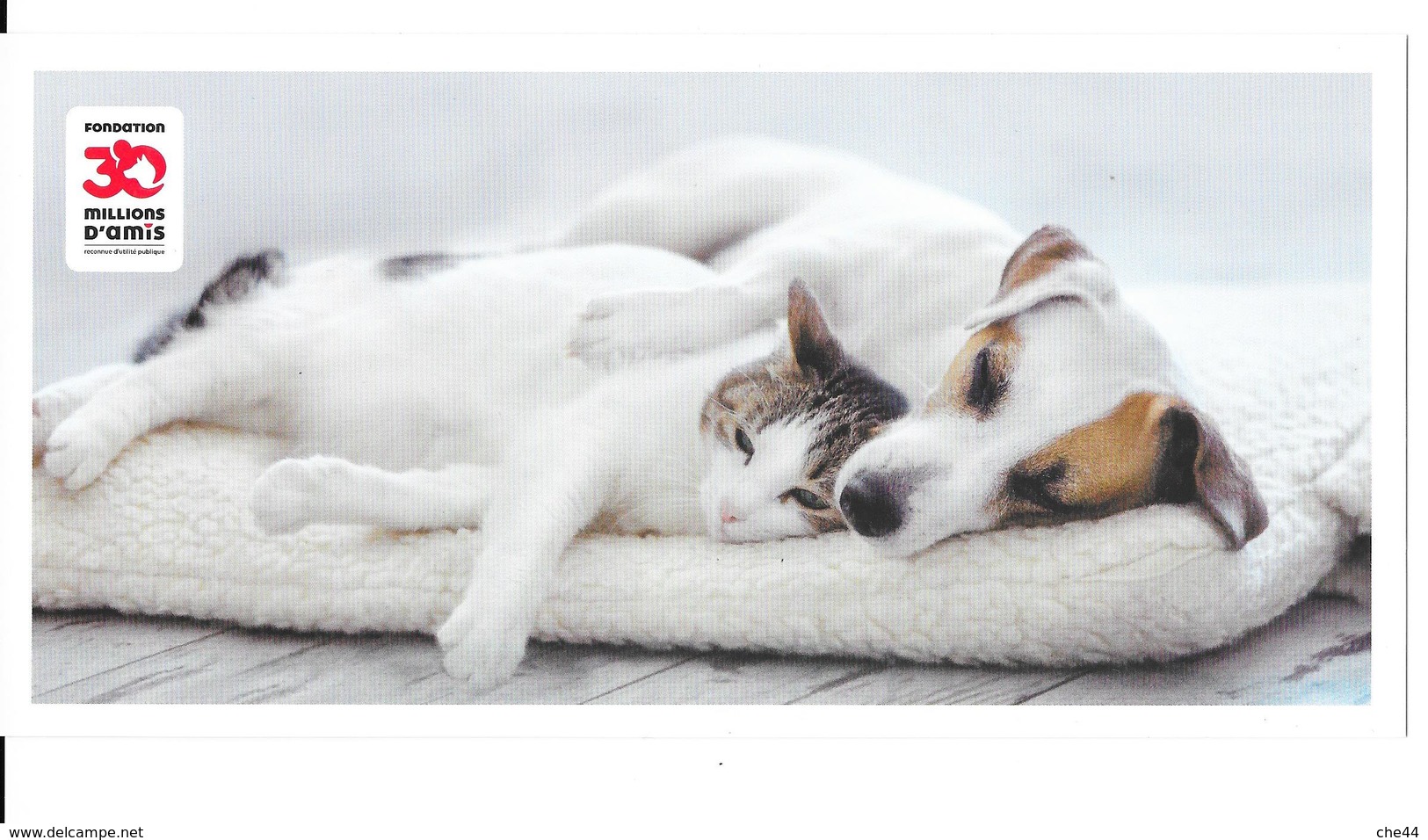 Carte Postale : 30 Millions D'Amis. Chien Et Chat. (Voir Commentaires) - Honden