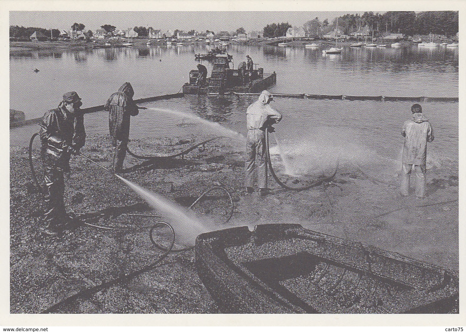 Evènements - Catastrophe - Ecologie - Au Large De L'Ile De Batz 29 - Naufrage Marée Noire Pétrolier  "Tanio" - Mars 1980 - Rampen