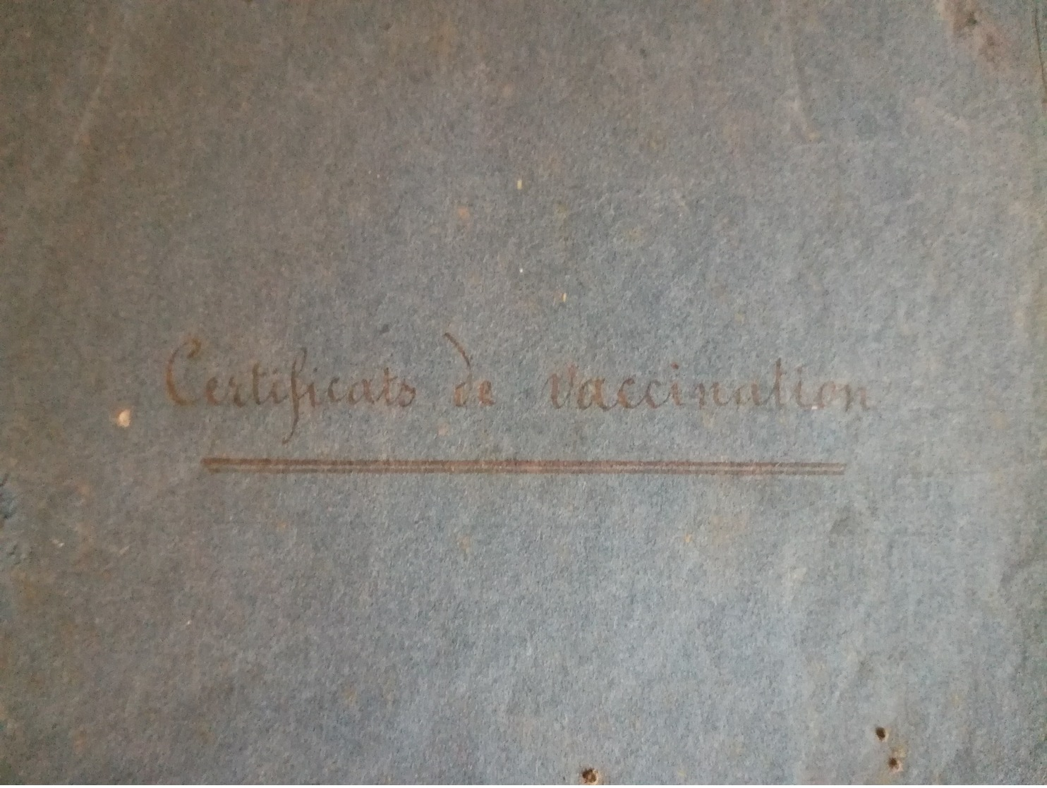 LA CHARTRE   RUILLE   (Sarthe) 1870/1889  Carnet De Vaccination  Docteur à Identifié Sur Signature  15 Pages - Non Classés