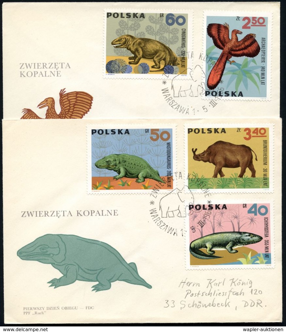 POLEN 1966 (5.3.) Prähistor. Tiere, Kompl.Satz + ET-SSt.: WARSZAWA 1 (Mammut) 4 Ausl.-FDC-SU. (Mi.1655/63) - Reederei /  - Autres & Non Classés