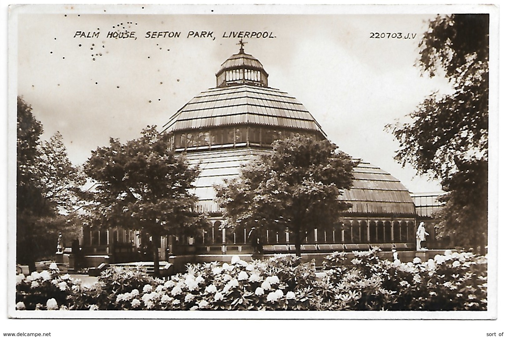 REAL PHOTO POSTCARD -  LIVERPOOL PALM HOUSE - SEFTON PARK ----- B348 - Liverpool