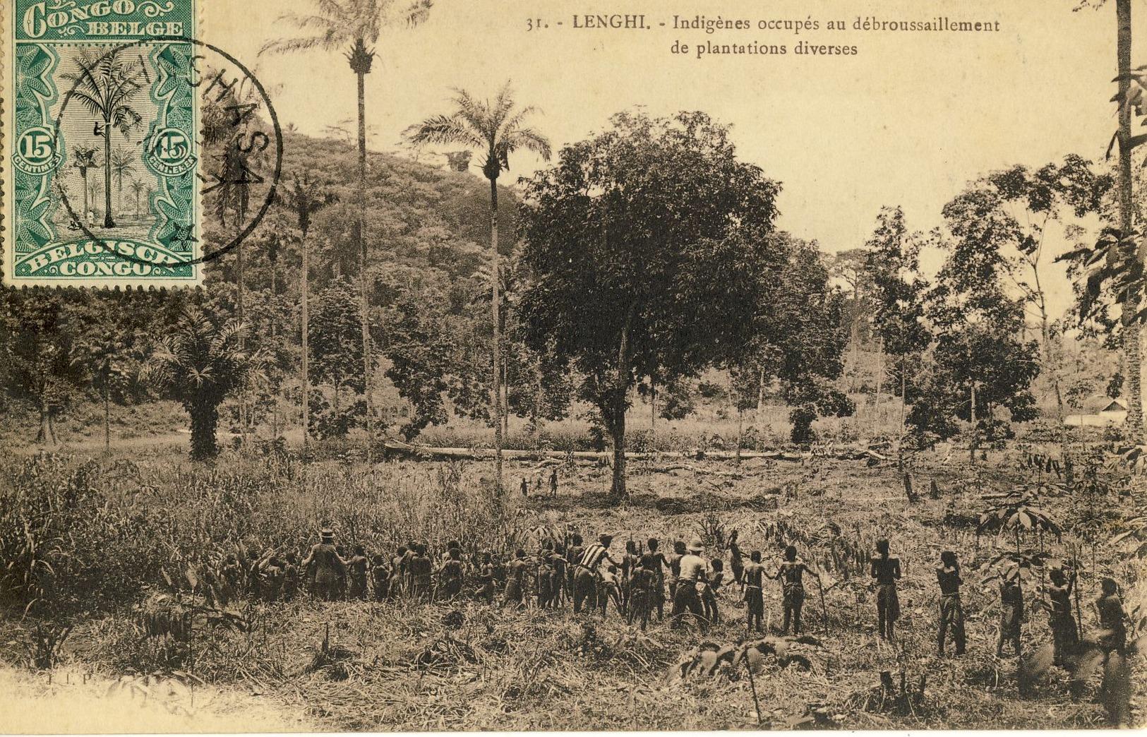 CONGO BELGE -- LENGHI -- Indigènes Occupés Au Débroussaillement De Plantations Diverses - Autres & Non Classés