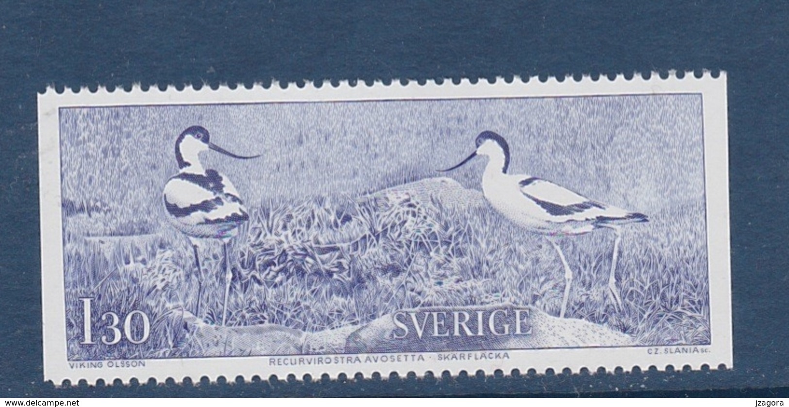 CARL VON LINNE SCIENCE BALTIC SEA MARINE BIRDS  VÖGEL OISEAUX - AVOCETS - SWEDEN SUEDE SCHWEDEN 1978 MI 1123  MNH SLANIA - Marine Web-footed Birds