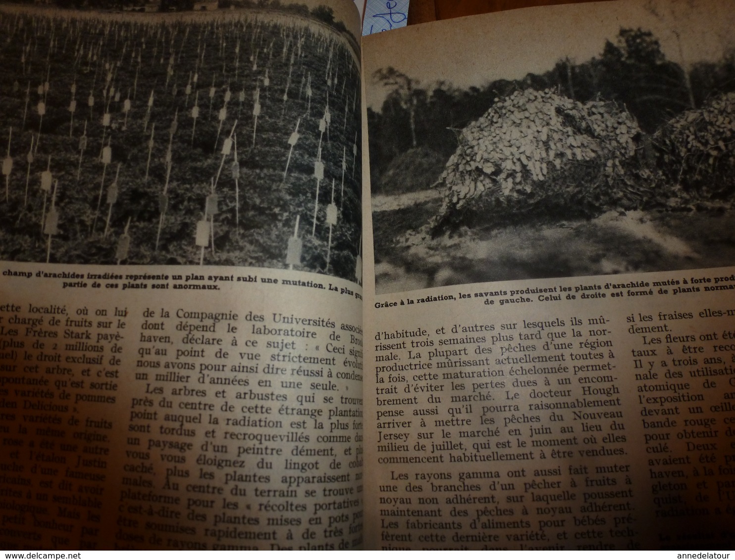 1958 MÉCANIQUE POPULAIRE: Les automobiles américaines;Capture des cerfs avec fléchettes;L'or de l'Afrique;etc