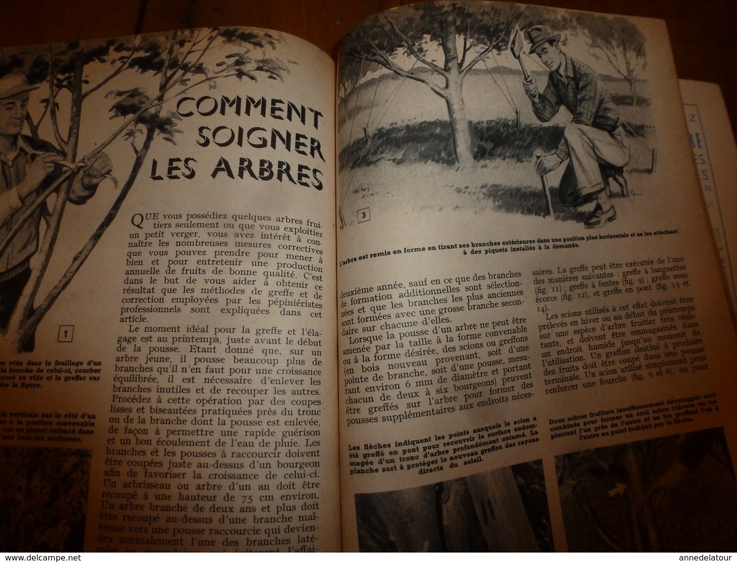 1958 MÉCANIQUE POPULAIRE: Un dentiste-sculpteur;Hermann Geiger pilote des glaciers suisses;Soignez vos arbres;etc