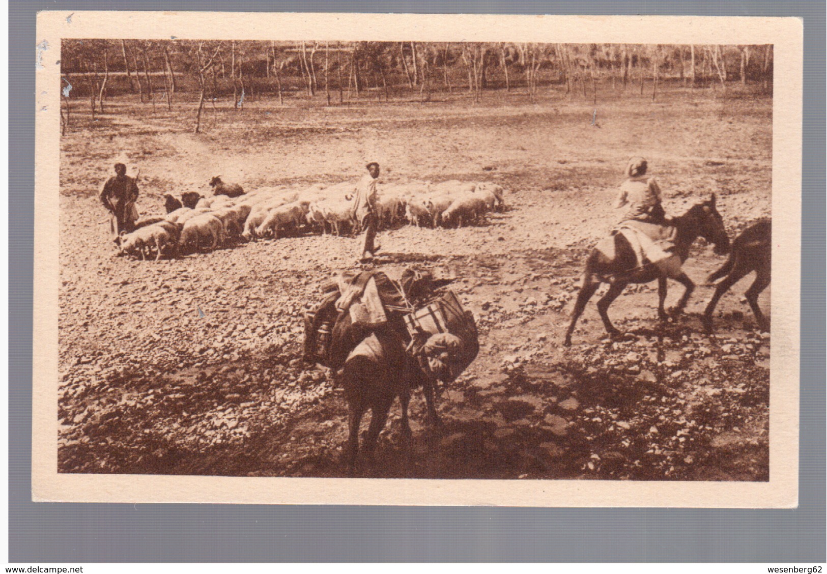 MONGOLIA Missionnaire Dans Les Steppes Ca 1920 OLD POSTCARD 2 Scans - Mongolië