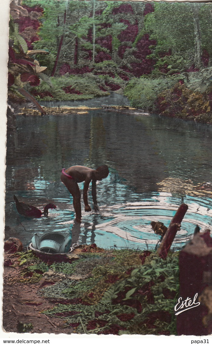 ABIDJAN Cote D'Ivoire  Dans La Forêt Du Banco - Côte-d'Ivoire