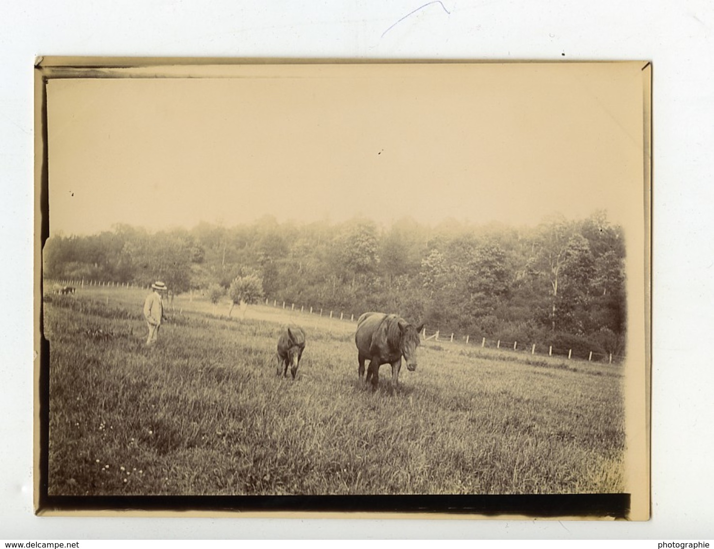 France Villers Un Dimanche à La Campagne Homme Et Chevaux Ancienne Photo 1900 - Other & Unclassified