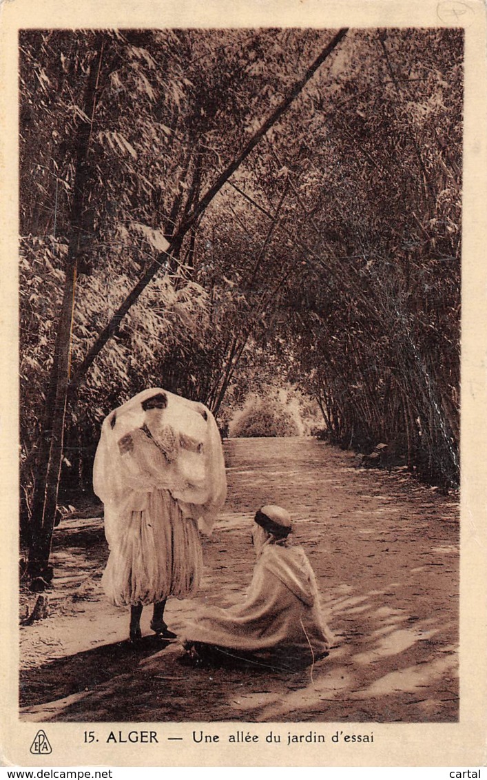 ALGER - Une Allée Du Jardin D'essai - Alger