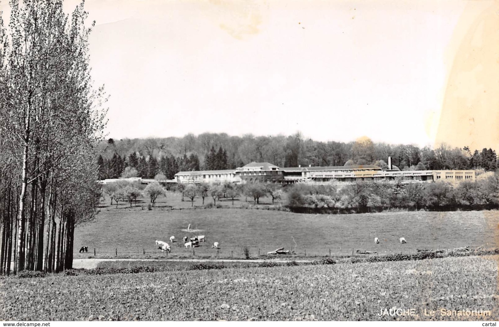 JAUCHE - Le Sanatorium - Orp-Jauche