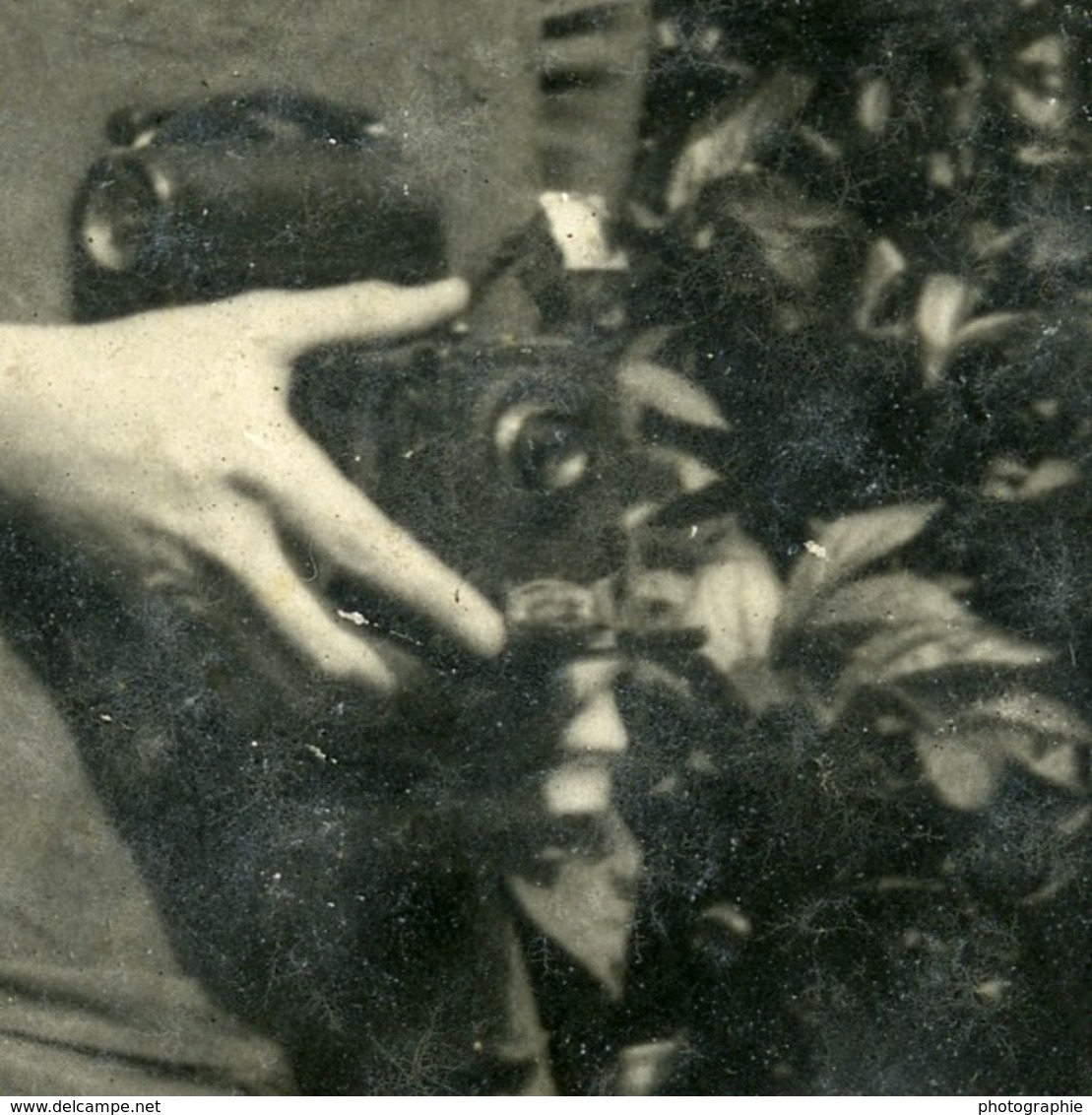 France Photographie Au Jardin Jeune Femme Et Appareil Photo Ancienne Photo 1930 - Autres & Non Classés