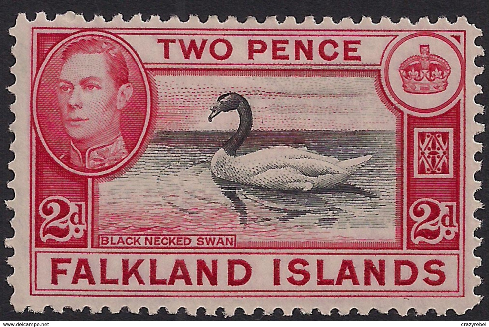 Falkland Island 1938 - 50 KGV1 2d Black Necked Swan MM SG 150 ( K1346 ) - Falkland Islands