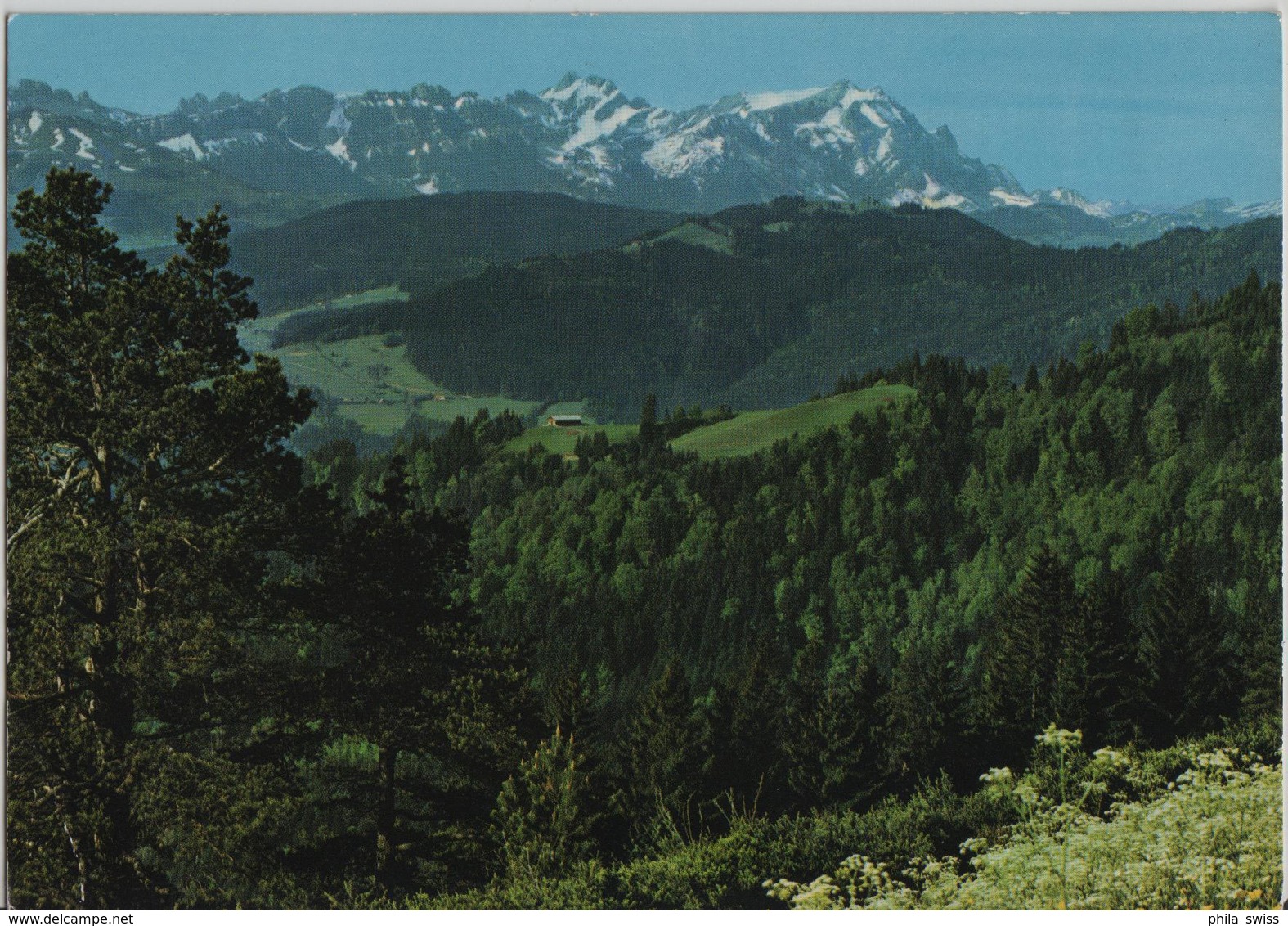 Blick Vom St. Anton Zum Alpstein - Photo: Gross - Autres & Non Classés