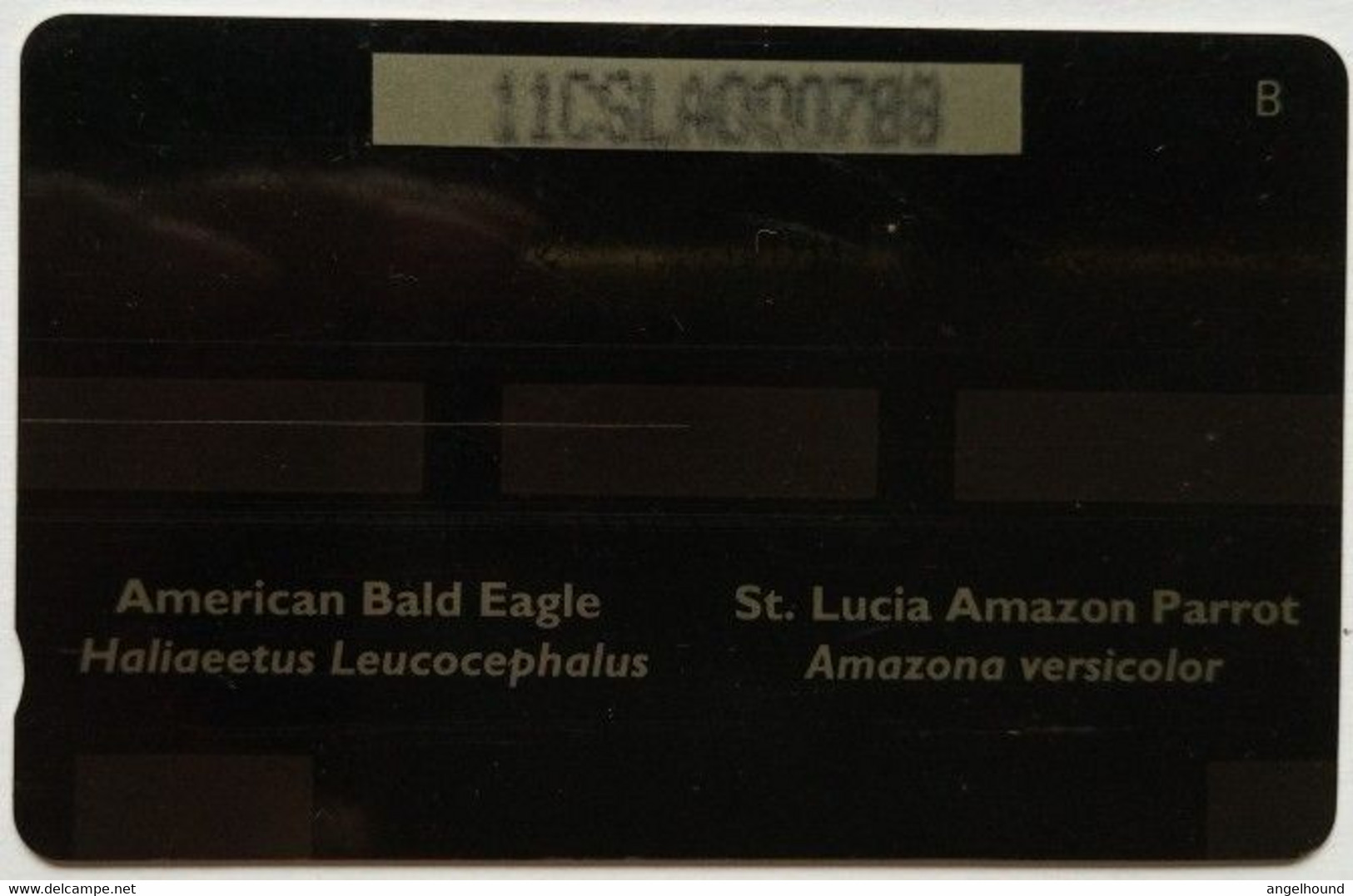 Saint Lucia Cable And Wireless 11CSLA  EC$53/US$20 " Bald Eagle And Amazon Parrot " - Santa Lucía