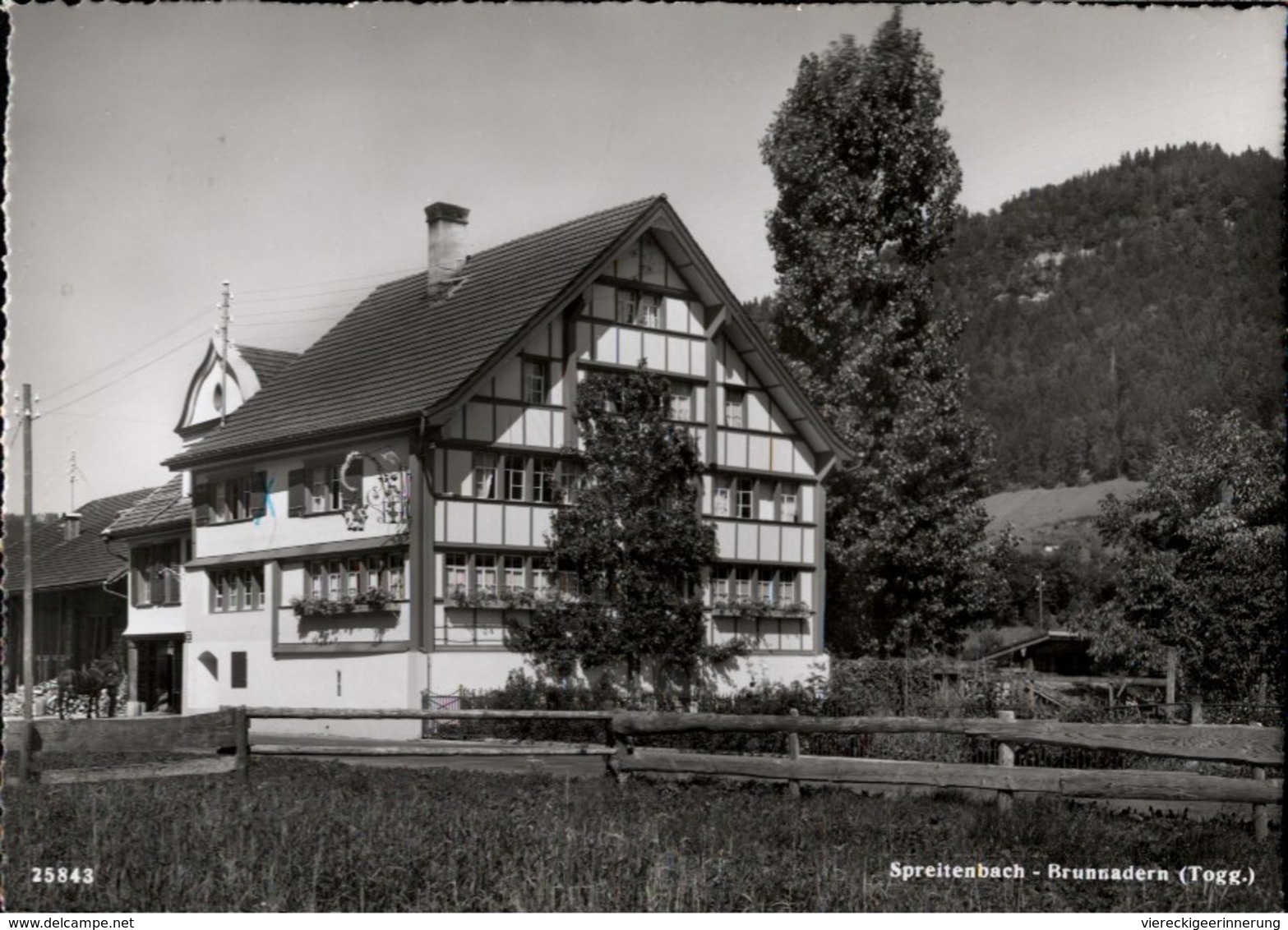 ! S/w Ansichtskarte Spreitenbach Brunnadern, Gasthaus Löwen, Pension, Schweiz - Brunnadern