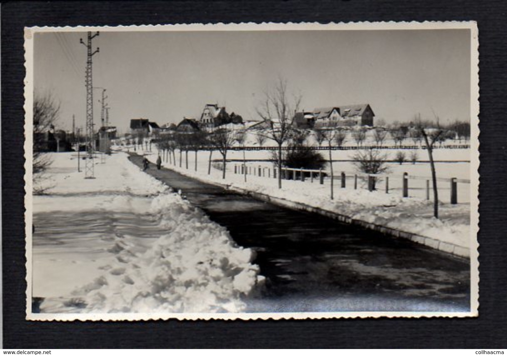 Maroc  / Carte Photo / Ifrane En Hiver Sous La Neige - Other & Unclassified