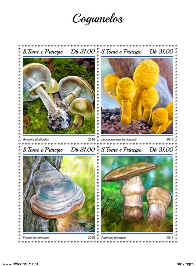 S. TOME & PRINCIPE 2018 - Mushrooms (Big). Official Issue - Funghi