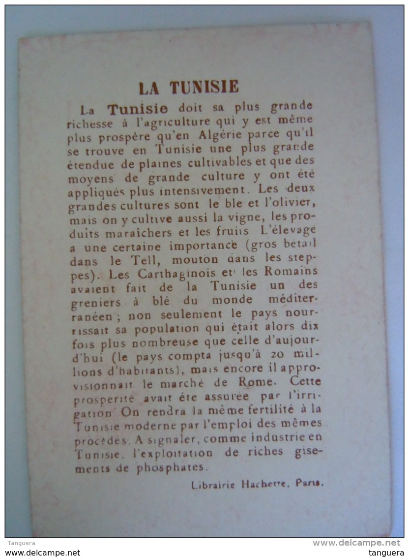 Chromo La Tunisie Bédouine Olivier Tunis Librairie Hachette Paris - Sonstige & Ohne Zuordnung