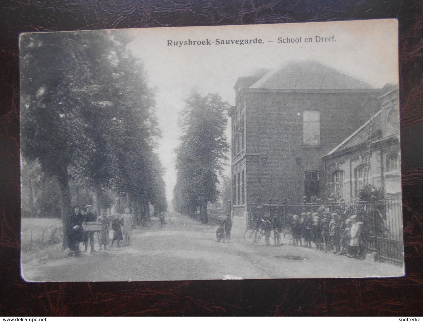 Ruysbroeck - Sauvegarde    School En Dreef - Autres & Non Classés