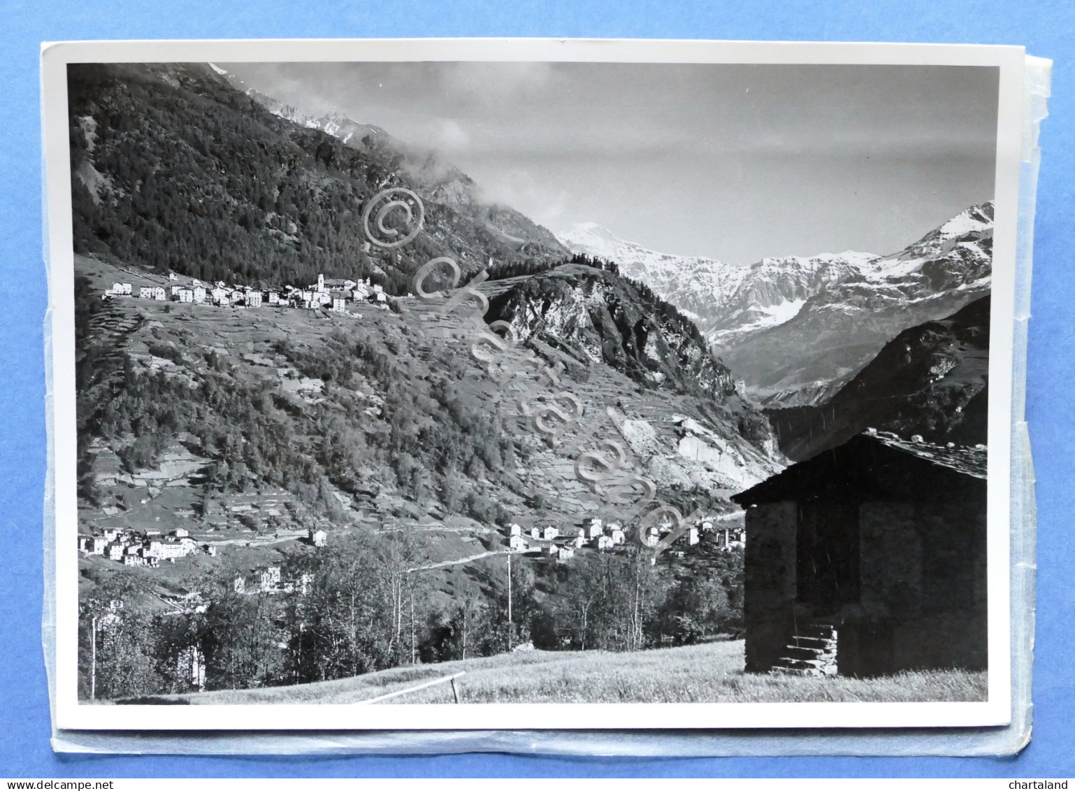 Collezionismo Fotografia D'epoca - Chiesa Valmalenco Rif. N.43 - Anni '60 - Autres & Non Classés