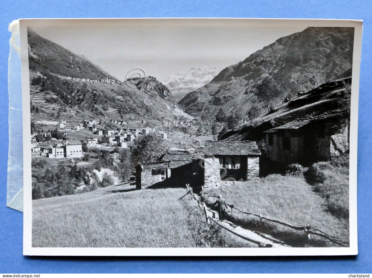 Collezionismo Fotografia D'epoca - Chiesa Valmalenco Rif. N.45 - Anni '60 - Altri & Non Classificati