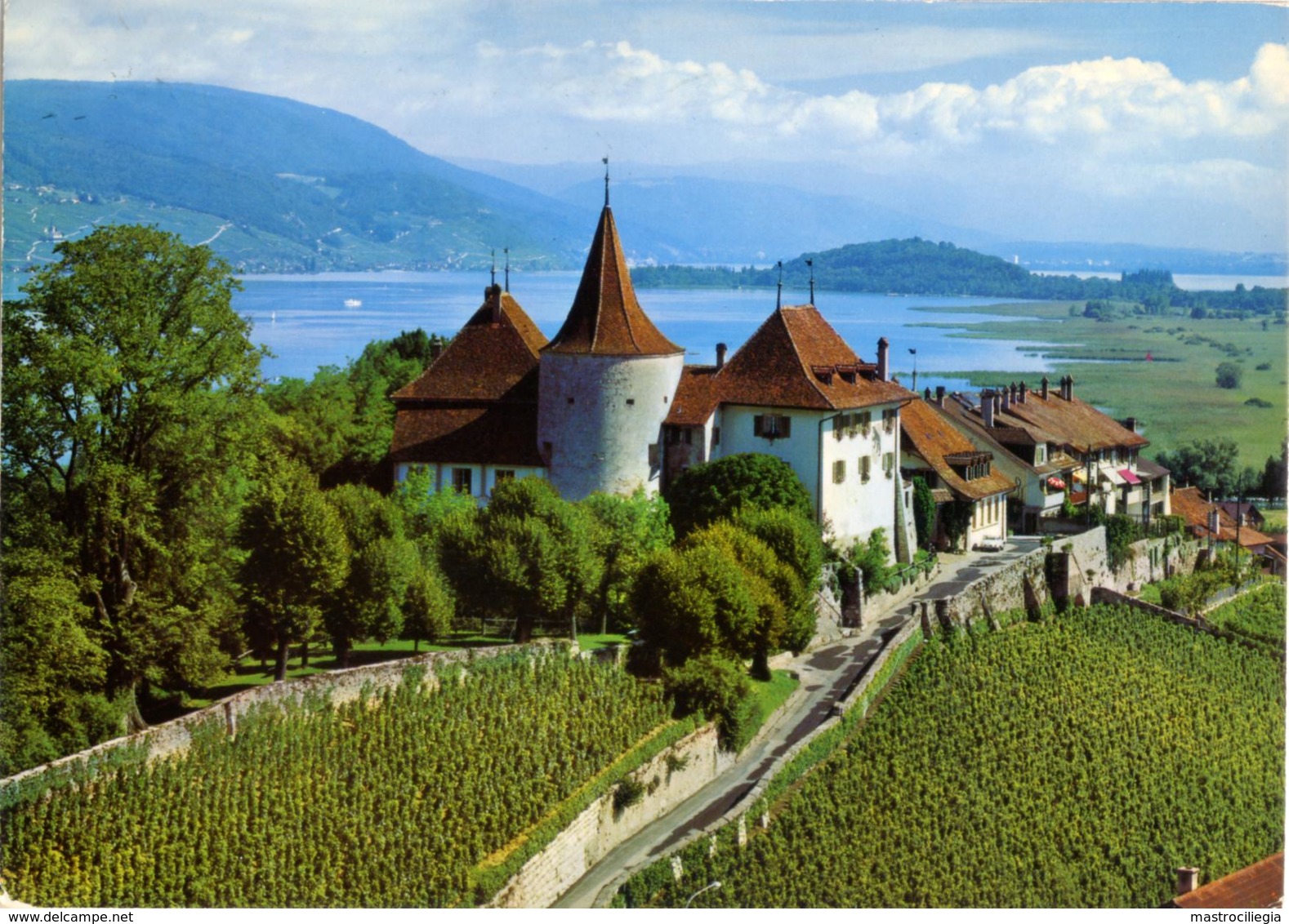 SVIZZERA  SUISSE  BE  ERLACH  Schloss  Chateau De Cerlier - Cerlier