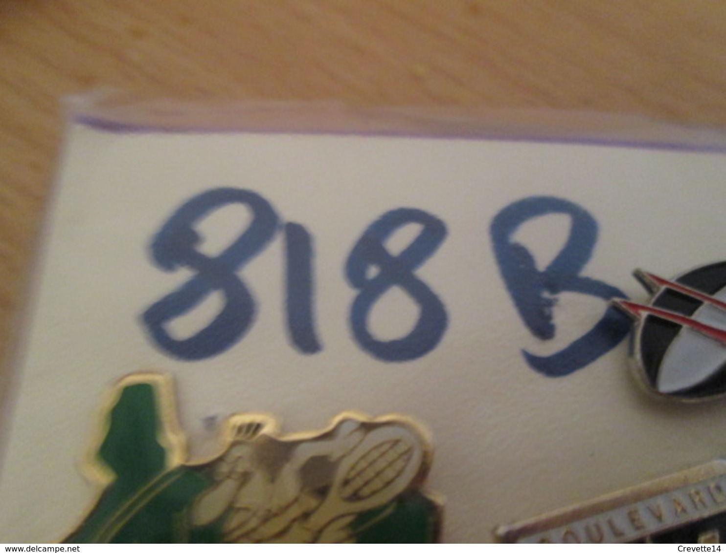 818b Pin's Pins / Belle Qualité Et Rare / MARQUES : ARAIGNEE CERAMICHE RAGNO - Markennamen