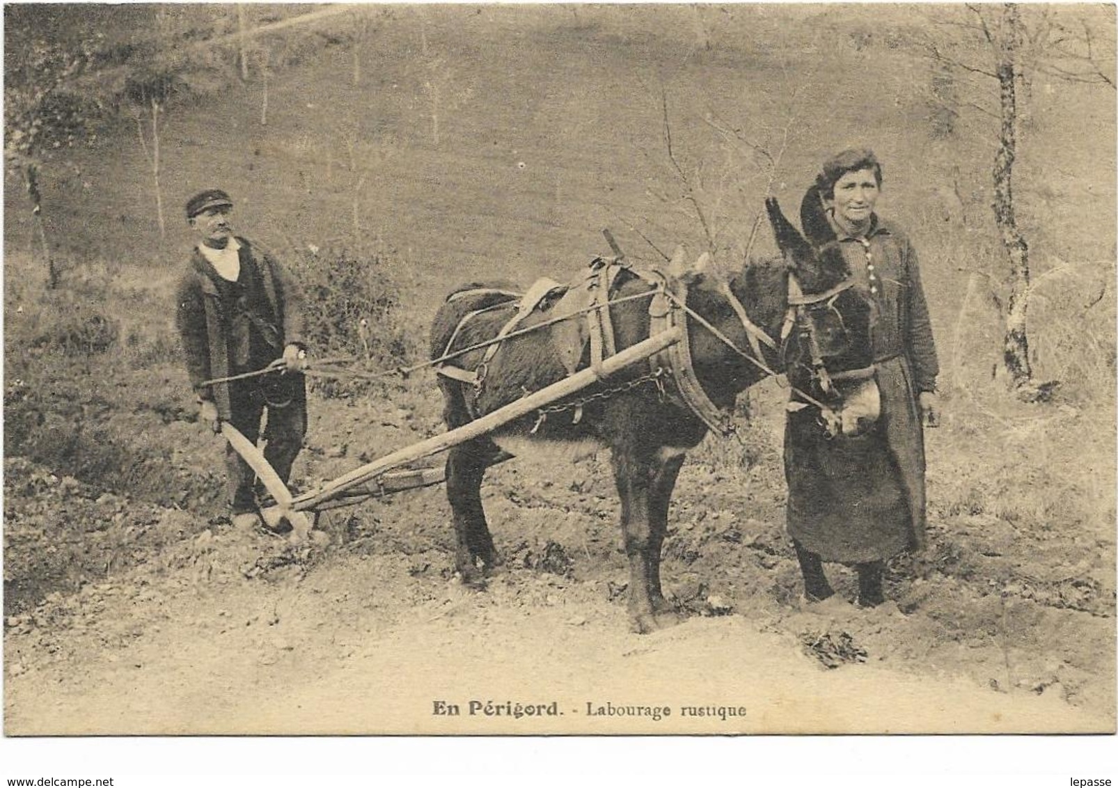 24 CPA EN PERIGORD LABOURAGE RUSTIQUE ATTELAGE ANE - Autres & Non Classés