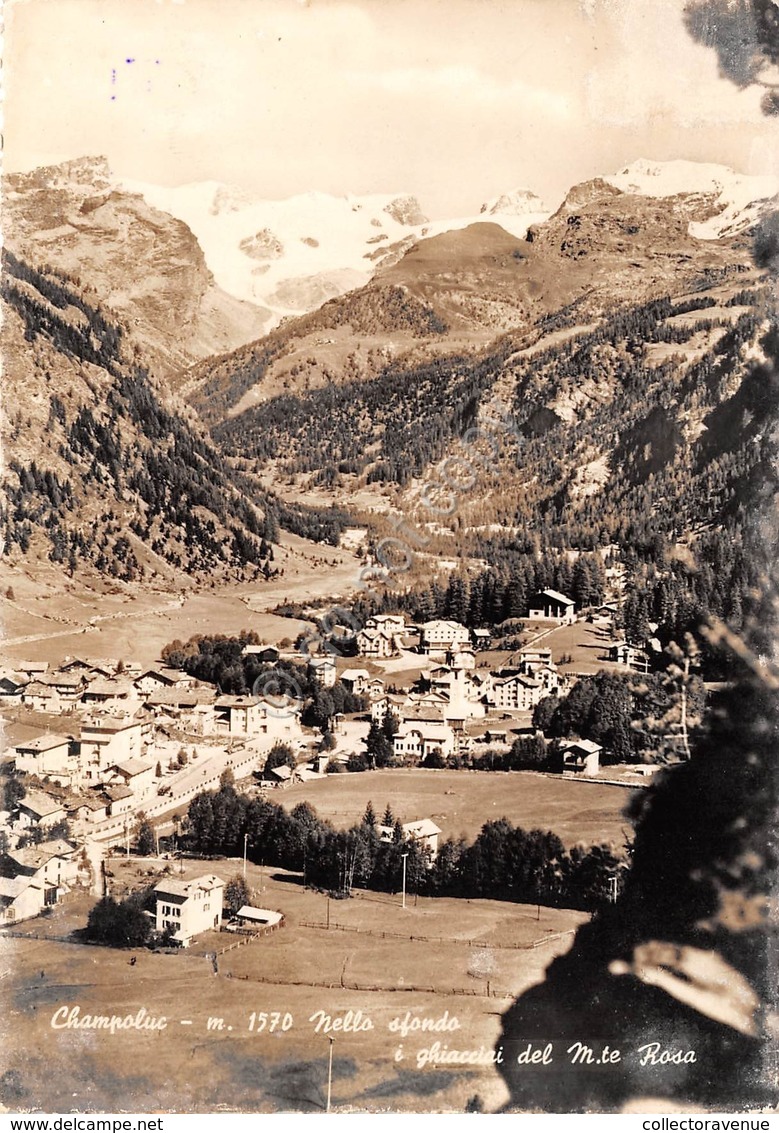 Cartolina Champoluc Panorama Monte Rosa Timbro Soggiorno Montano Olivetti Segnat (Aosta) - Altri & Non Classificati