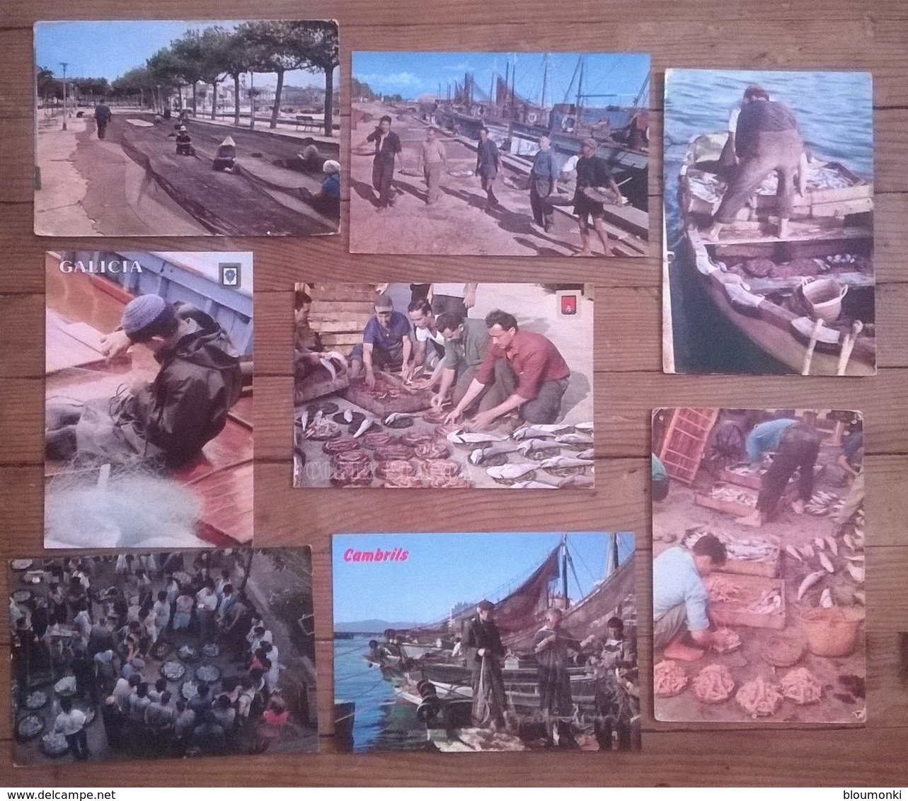 Lot De 8 Cartes Postales Pêche ESPAGNE - Angelsport