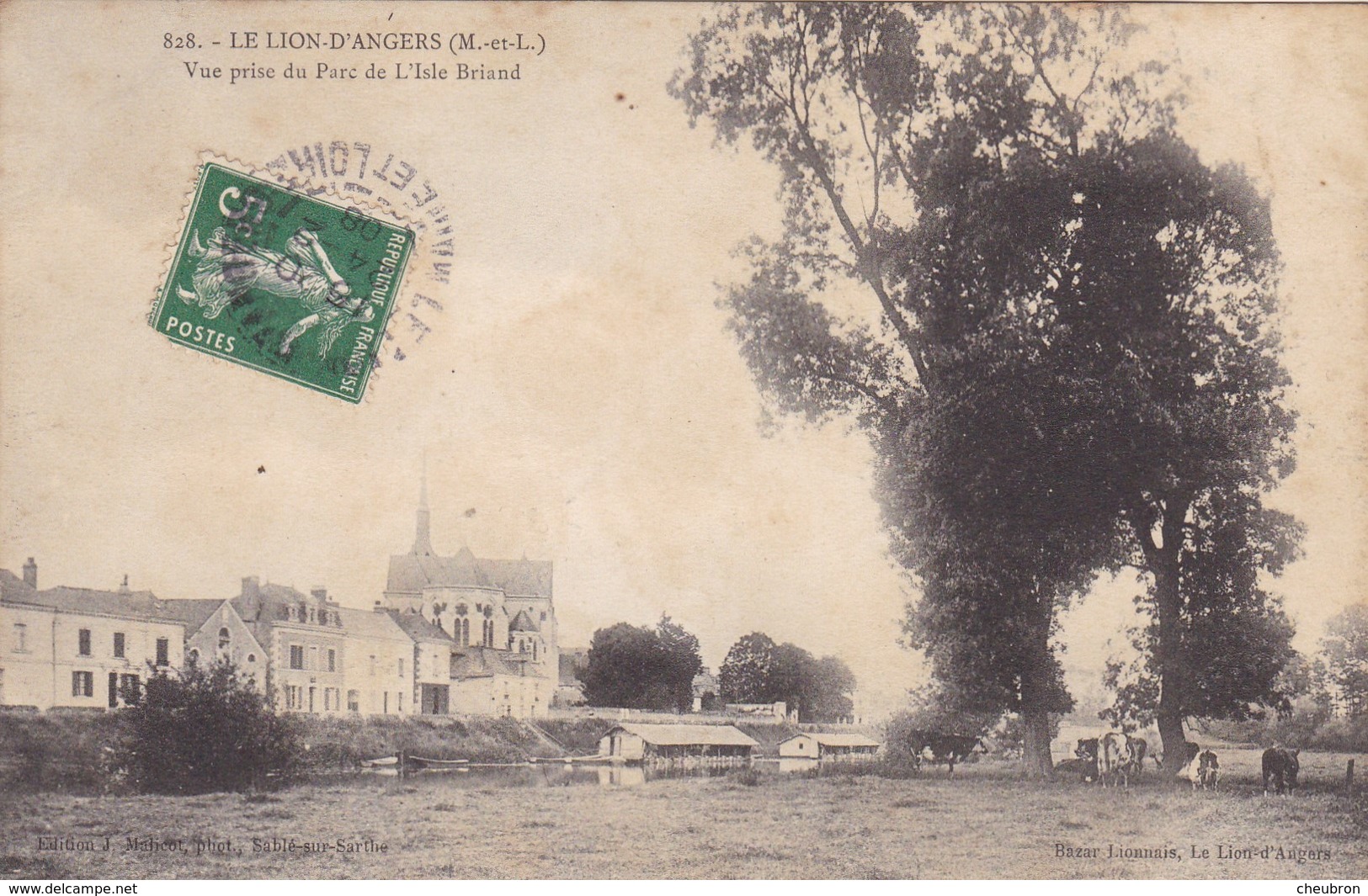 49 . LE LION D'ANGERS. CPA . VUE PRISE DU PARC DE L'ISLE BRIAND. ANNEE 1908 - Other & Unclassified