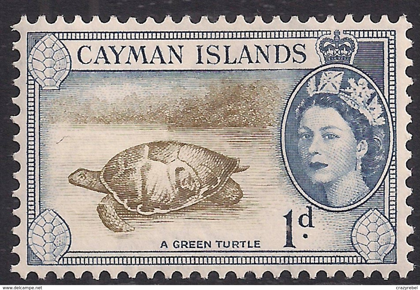 Cayman Islands 1953 - 62 QE2 1d Green Turtle MM SG 150 ( K1434 ) - Cayman Islands