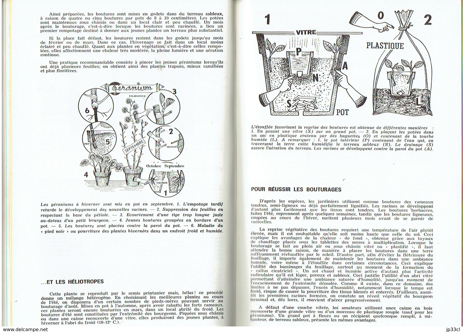 Guide Pratique De L'entretien Des Fleurs Et Plantes Décoratives Par R. Basteleus (La Hulpe), 250 Pages, 1972 - Jardinage