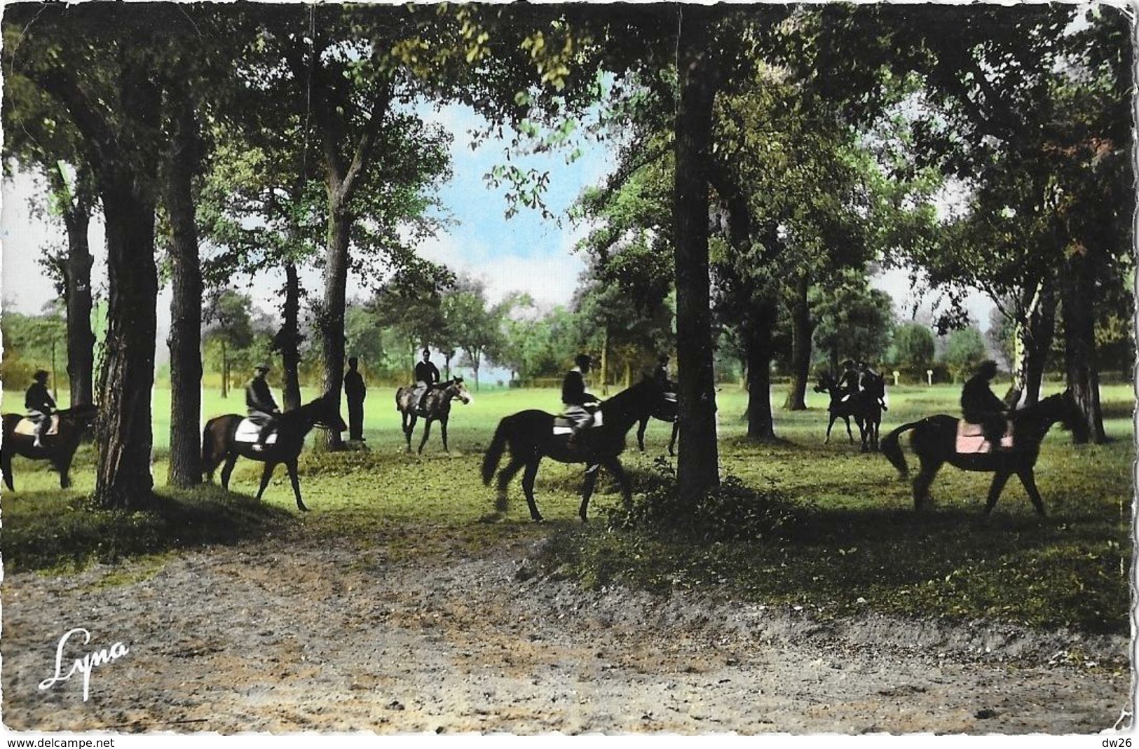 Hippisme, L'Entrainement Des Chevaux à Maisons-Laffitte (S. Et O.) - Abeille-Carte Colorisée N° 21 - Horse Show