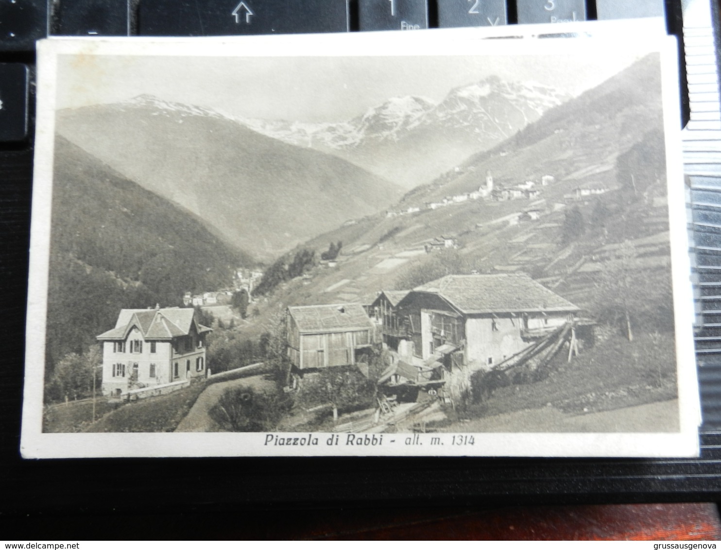 19683) PROVINCIA TRENTO PIAZZOLA DI RABBI VIAGGIATA 1932 - Trento