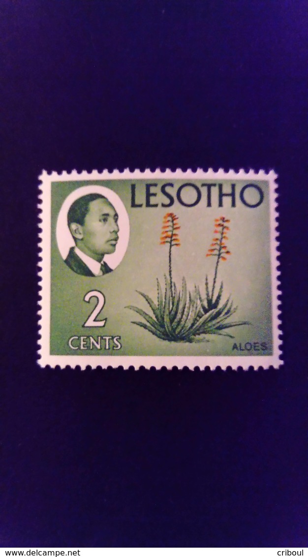 Lesotho 1967 Fleur Flower Yvert 133 ** MNH Sans Filigrane Without Watermark - Lesotho (1966-...)