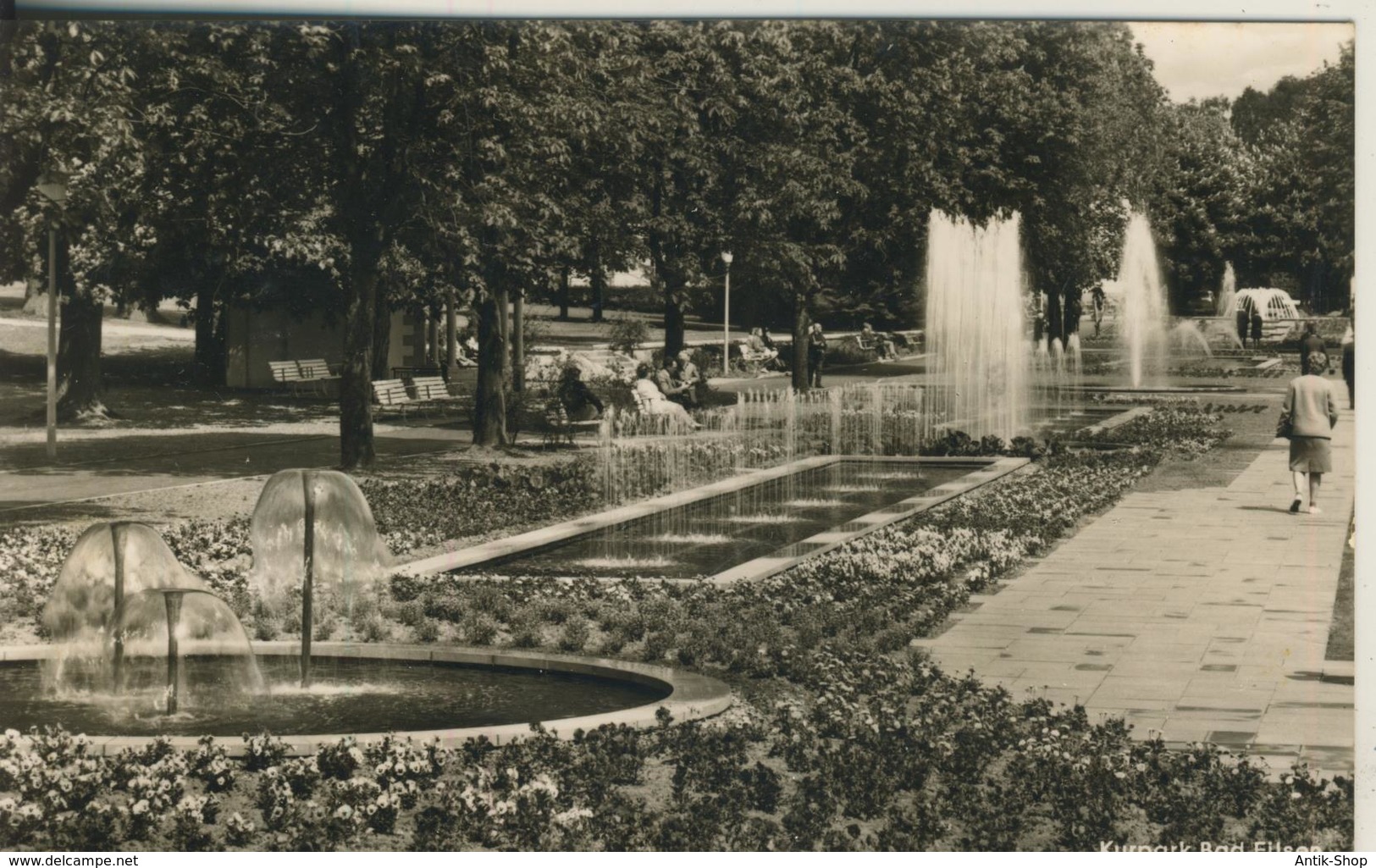 Bad Eilsen V. 1963  Der Kurpark   (2222) - Schaumburg