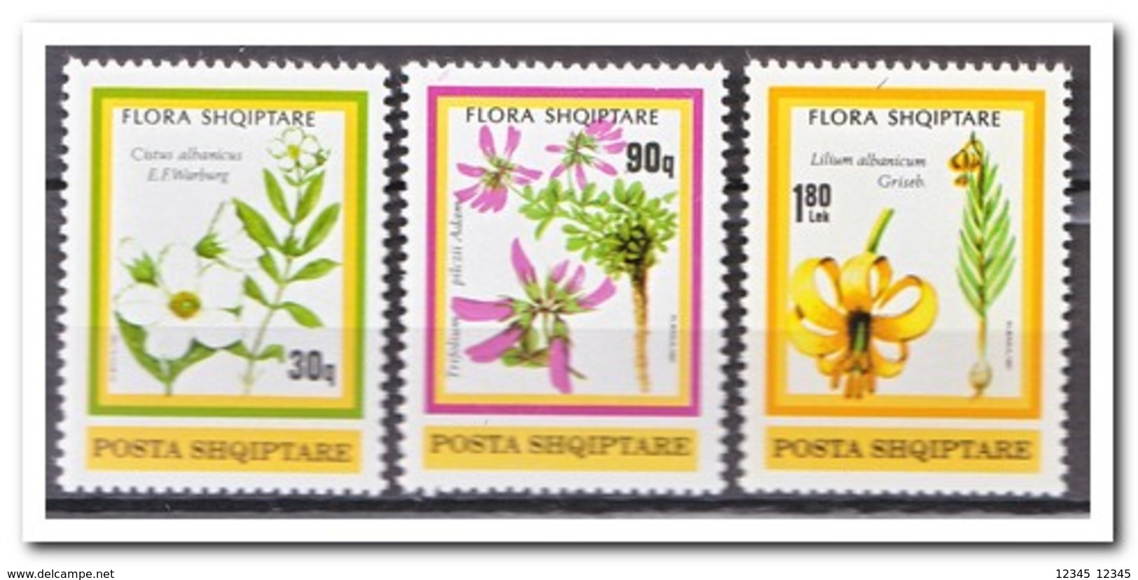 Albanië 1991, Postfris MNH, Flowers - Albania