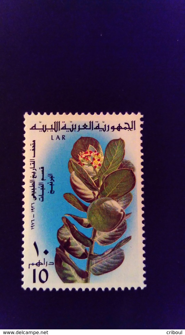 Libye Libya 1976 Musée Museum Plante Vegetal Yvert 578 ** MNH - Libya