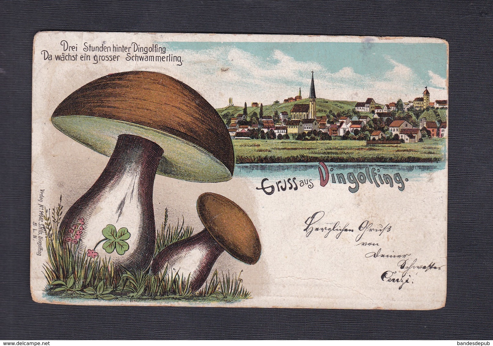 AK Gruss Aus Dingolfing ( Chromo Lithographie Champignons Ed. S. Hils) - Dingolfing